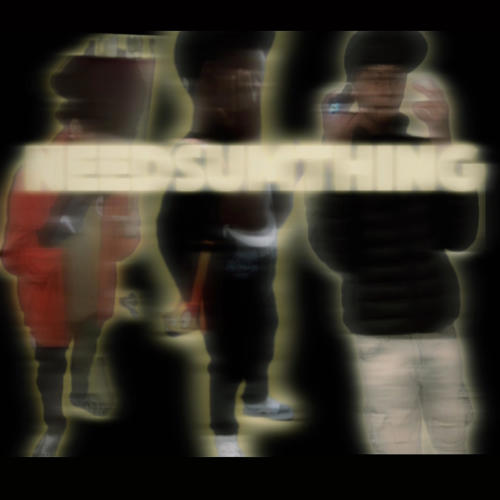Needsumthing (feat. Luljaydin4 & Luulrellybo) [Explicit]