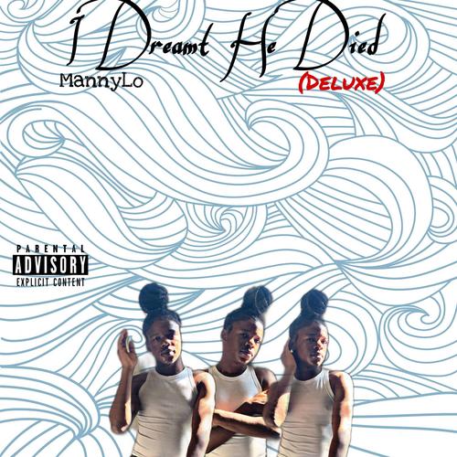IDHT : I Really Did (Explicit)