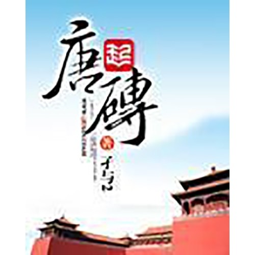 唐砖|孑与2|历史爆款神作