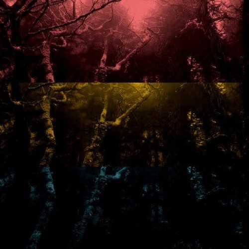 In The Night
