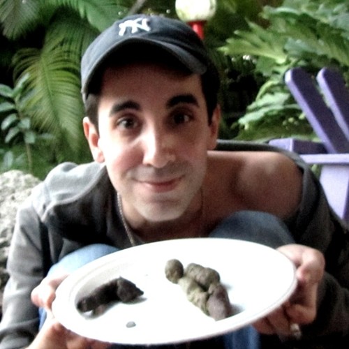 The Free Holiday Maxi Dance Single (Extended Mix)