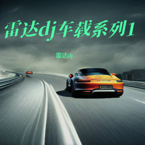 雷达dj车载系列1