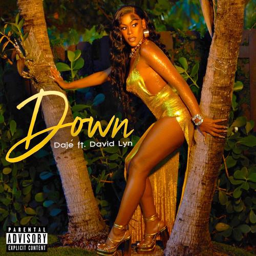 Down (feat. David Lyn) [Explicit]