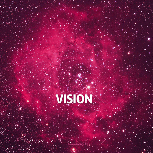 VISION