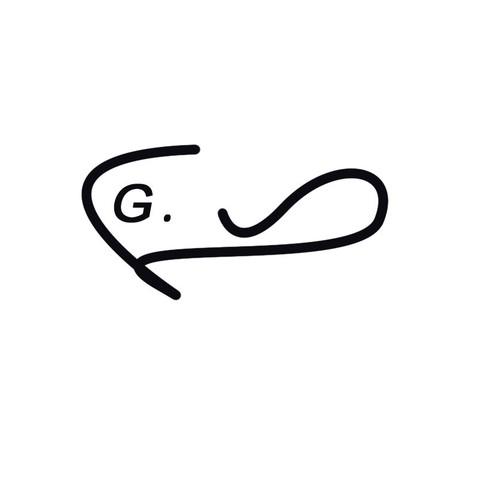GPin学习