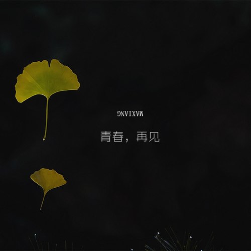 青春，再见