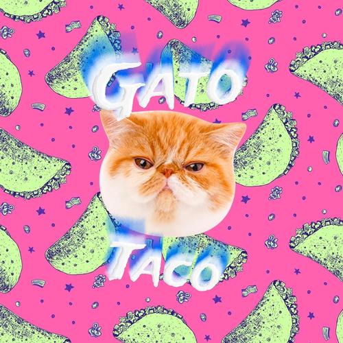 Gato Taco
