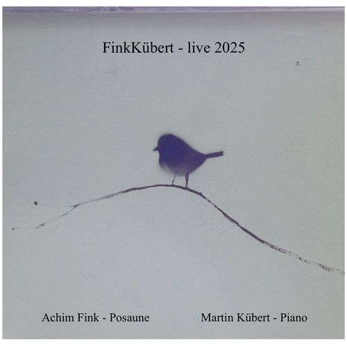 Fink Kübert (Live 2025)