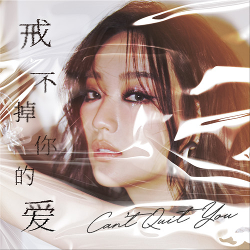 戒不掉你的爱