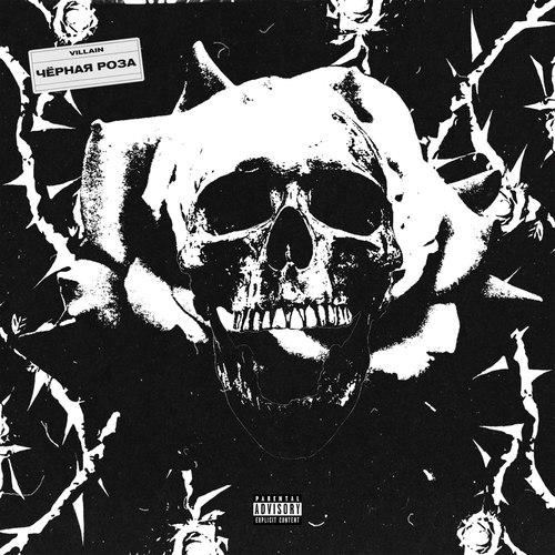 Чёрная роза