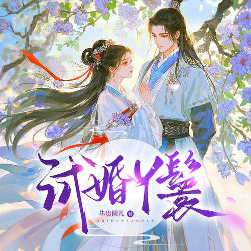 试婚丫鬟|古代言情|宫斗宅斗|精品多人剧