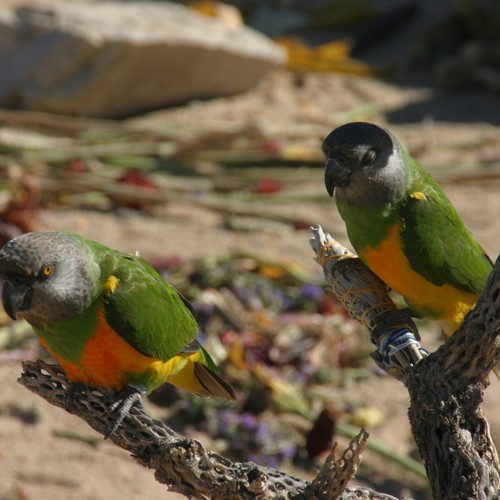 At The Table (feat. Logan Hill)