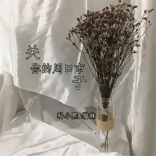 关于你的周口市