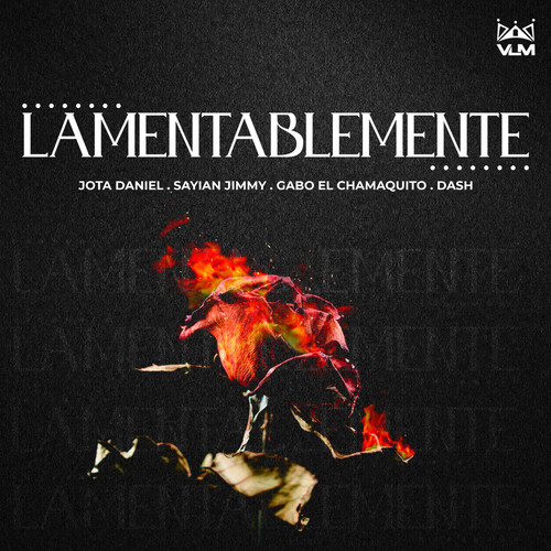 Lamentablemente