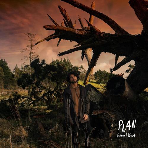 plan (Explicit)