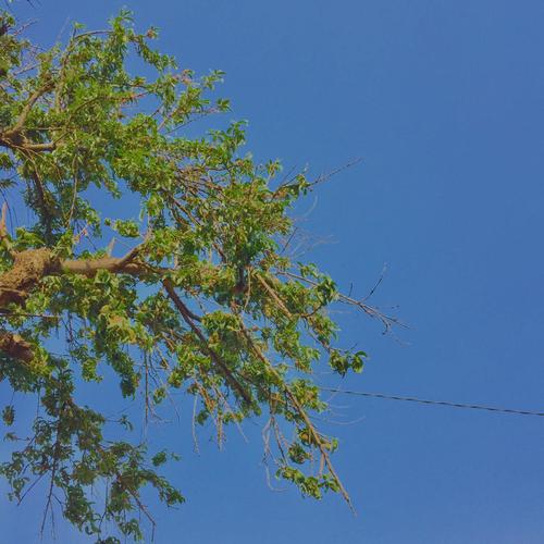 Uzobuyanini (VocalSpin)