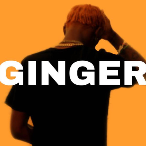 GINGER (Explicit)