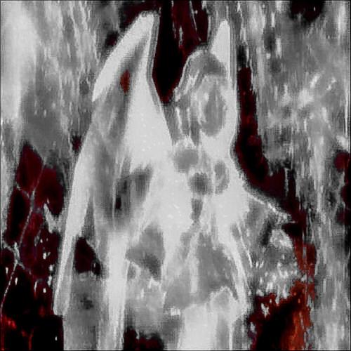 grind (prod. rada x wyrrt)