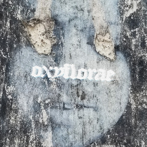 Oxyflorae (Explicit)