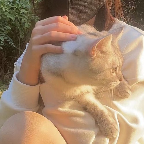 恋恋不忘必有回响