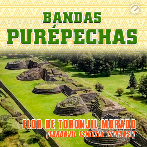 Flor de Toronjil Morado (Toronjil Tziktzik Tziransi)