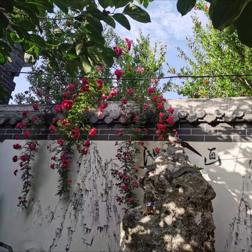 我心中还有个你