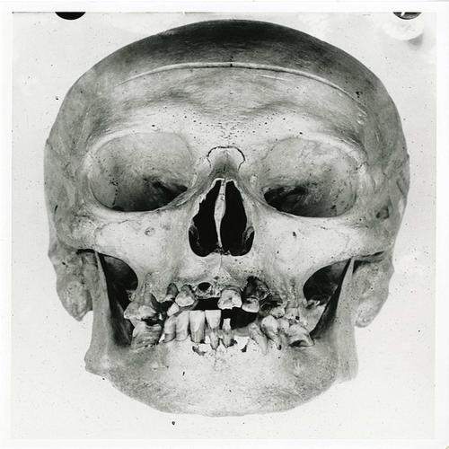 I'm A Freak (Explicit)