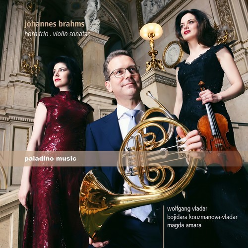 Brahms: Horn Trio & Violin Sonatas