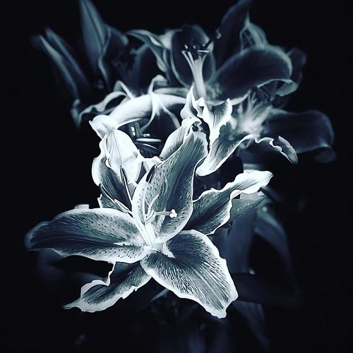 Fuera Del Planeta (Instrumental)