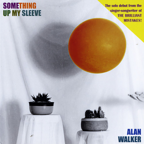 Something up My Sleeve