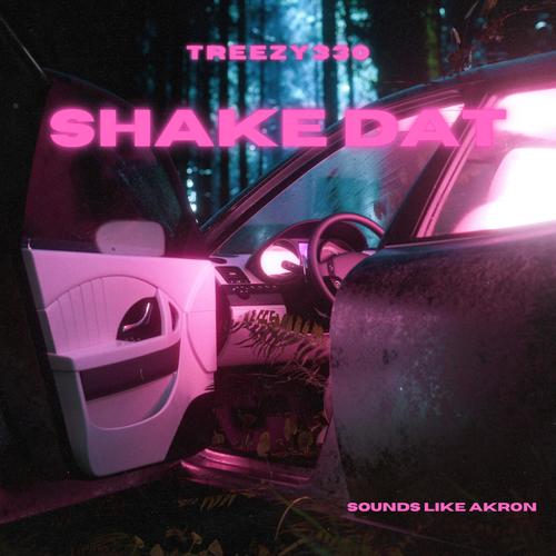 SHAKE DAT (Explicit)