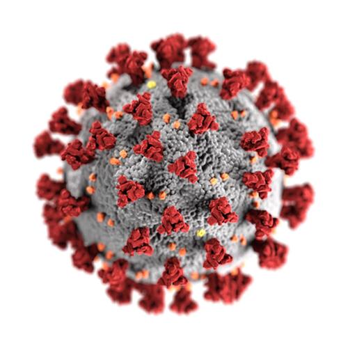 Virus (Explicit)