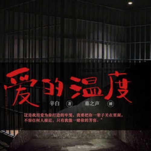 爱的温度|都市悬疑|刑侦推理|卧底探案|墓之声