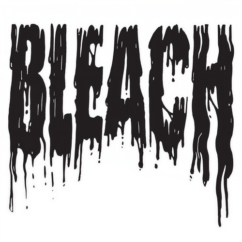 Bleach (Explicit)