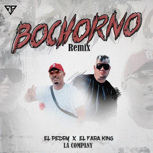 Bochorno (feat. El Pedry)