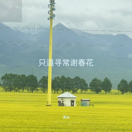 只道寻常谢春花