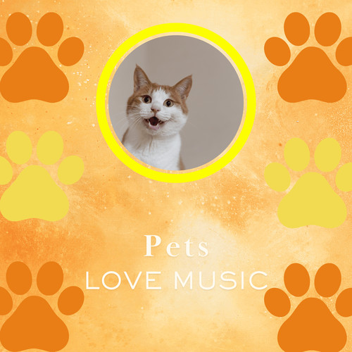 Happy Paws Nocturne