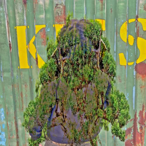 alphonsai (Explicit)