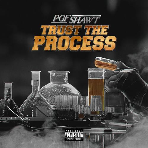 trust the process (Explicit)