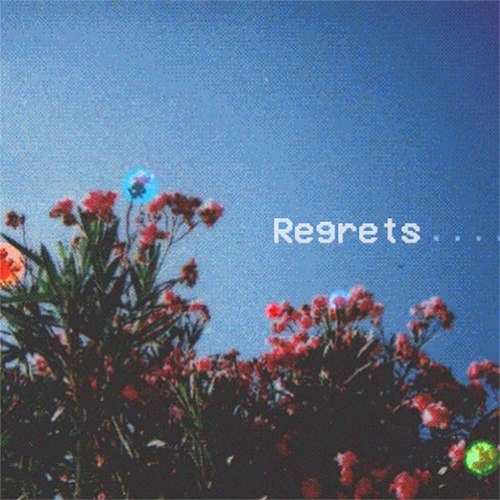 Regrets