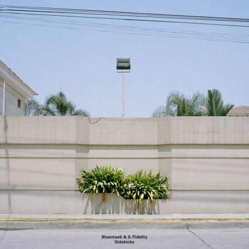 Sidekicks (Explicit)