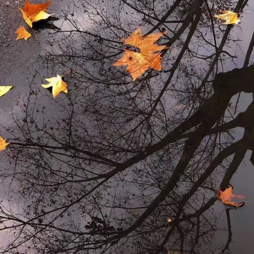 把悲伤留给自己（烟嗓R&B）