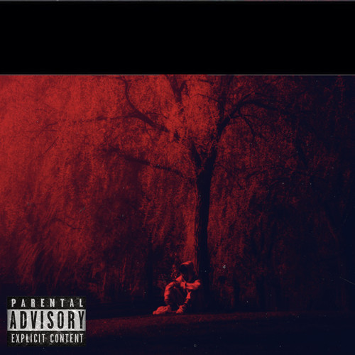 Cid (Comfort In Discomfort) [Explicit]