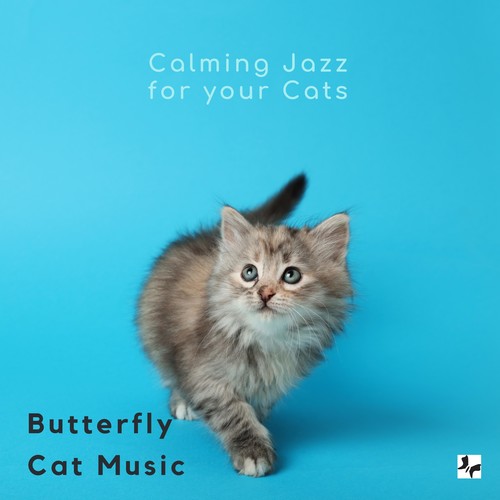 Calming Jazz for Your Cats