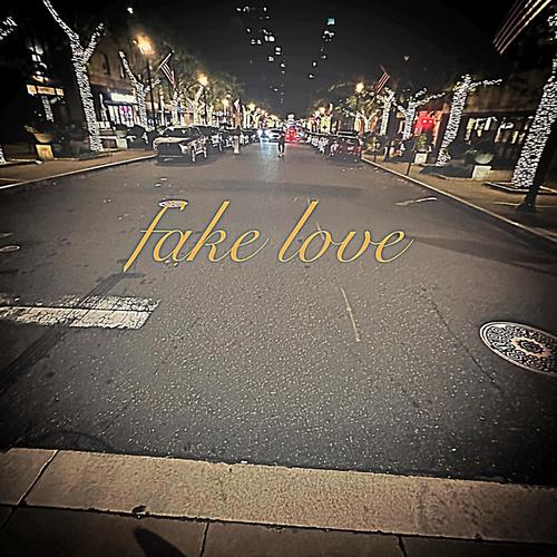 Fake Love (feat. Tøpp) [Explicit]