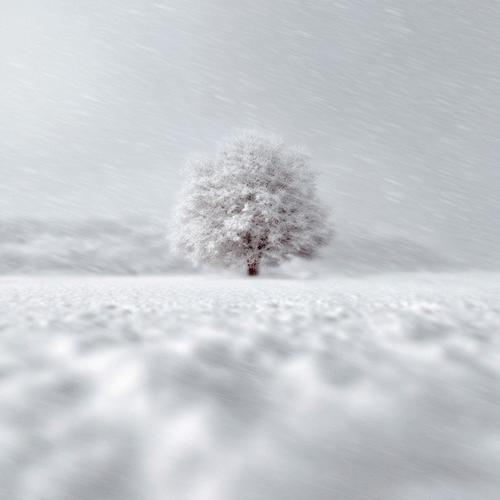 Je pense encore à nous