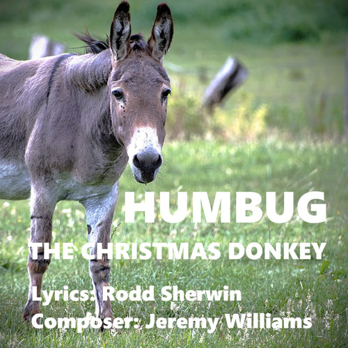 HUMBUG The Christmas Donkey