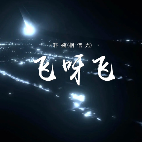 飞呀飞