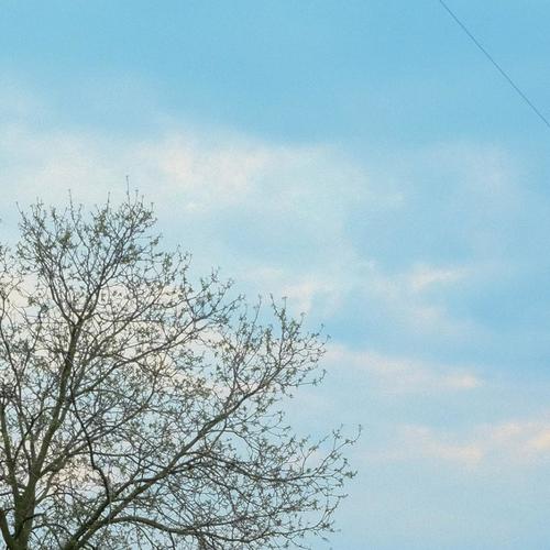 run away (feat. Fujiiro) [Explicit]
