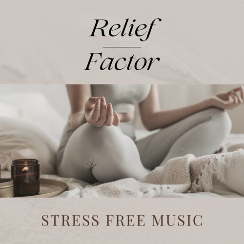 Relief Factor - Stress Free Music
